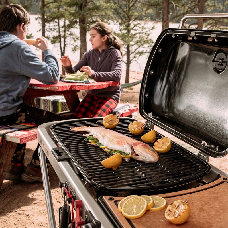 Weber Traveler® Portable Gas Grill view 3