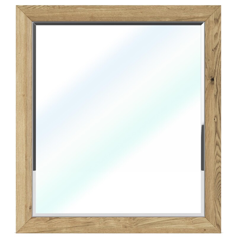 Davie Mirror 91061