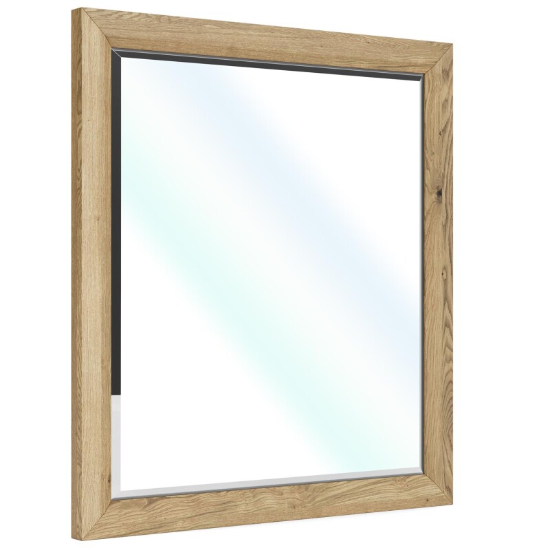 Davie Mirror 91061