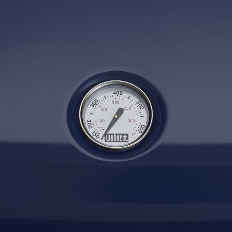 Lumin Electric Grill view 3