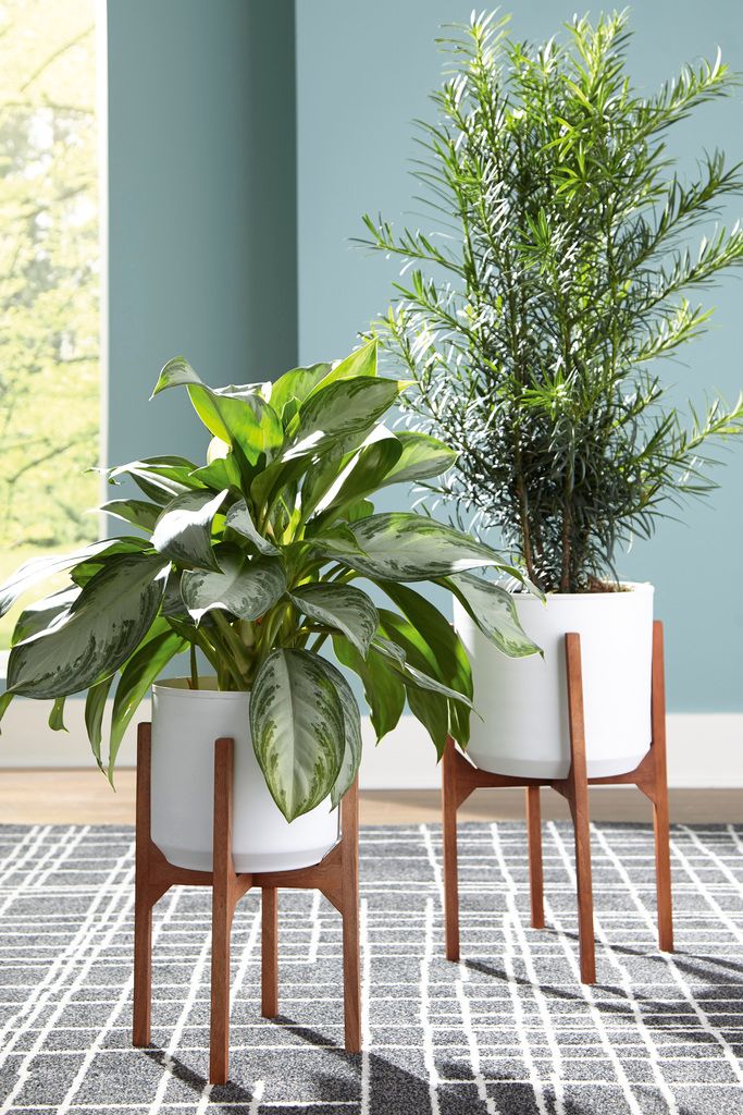 Dorcey White/Brown Planter Set of 2 A2000427
