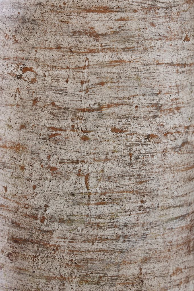 Wellbridge Vase In Distressed White A2000609