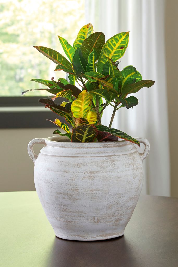 Meadie Vase In Distressed White A2000787
