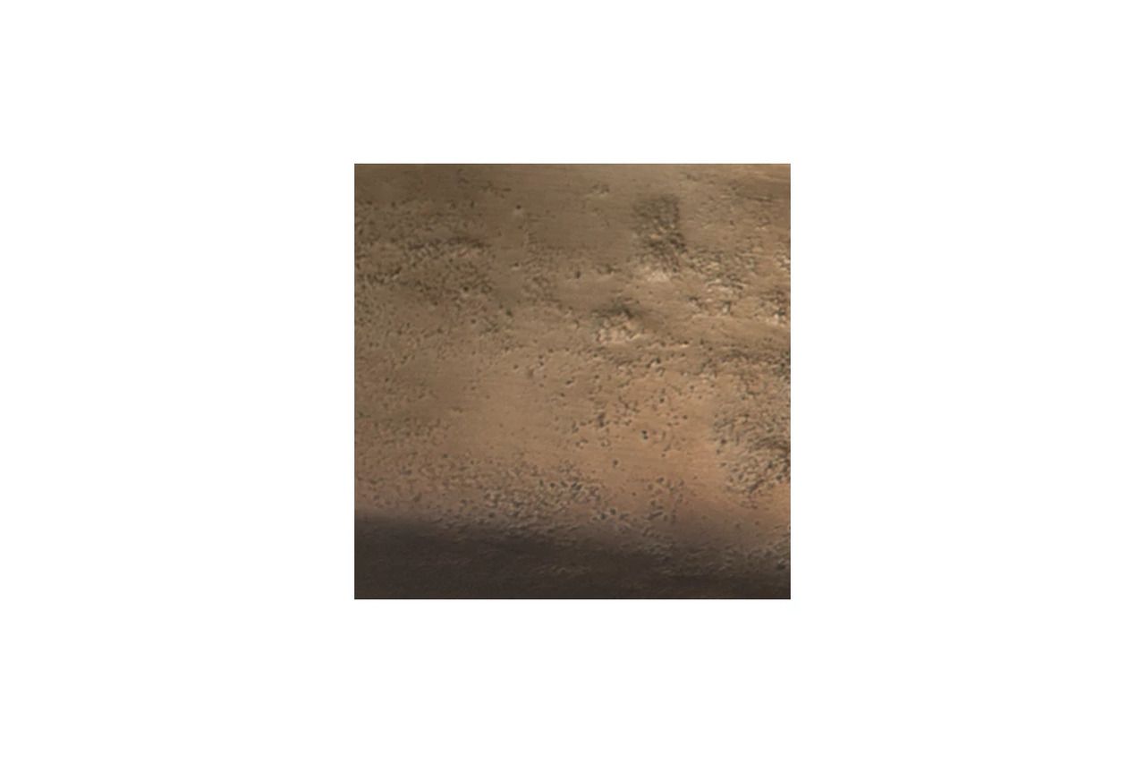 Wallmen Tray In Champagne Gold A2000817