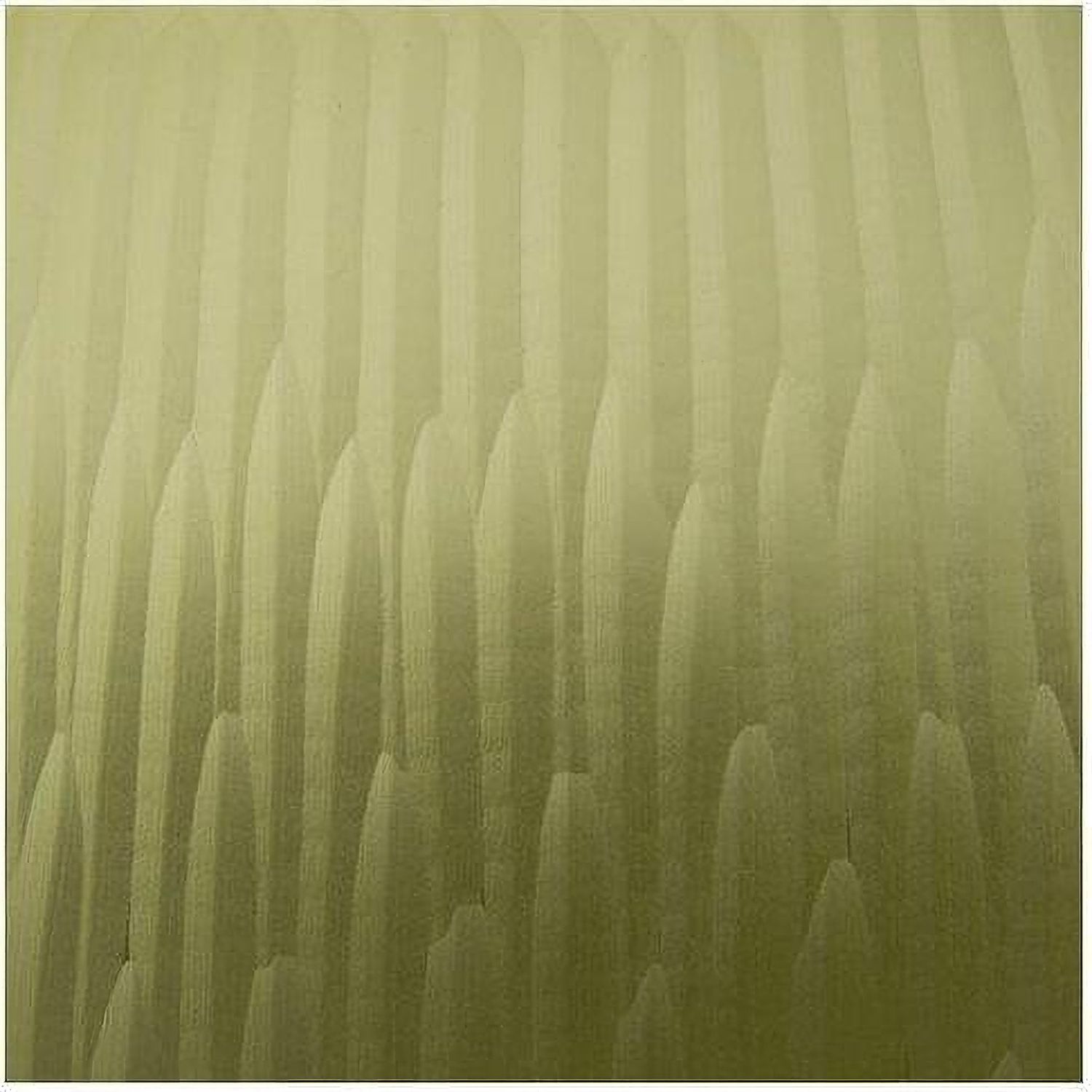 Scottyard Vase In Olive Green A2900007