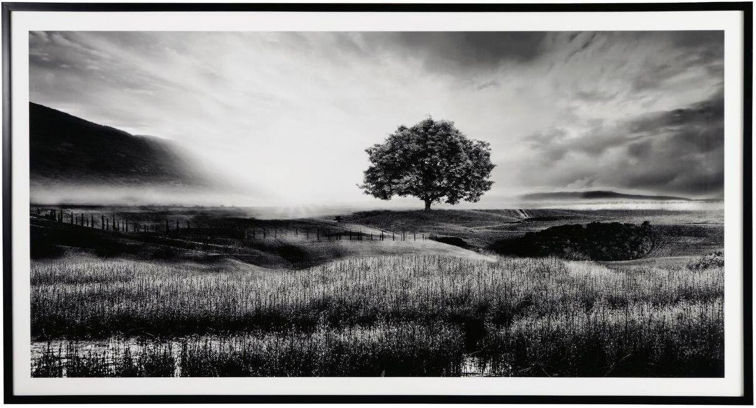 Deborland Black And White Wall Art A8000341
