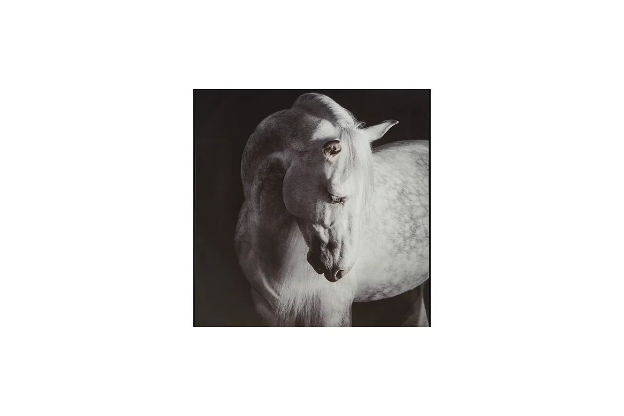 Archerwick Wall Art In Black and White A8000409