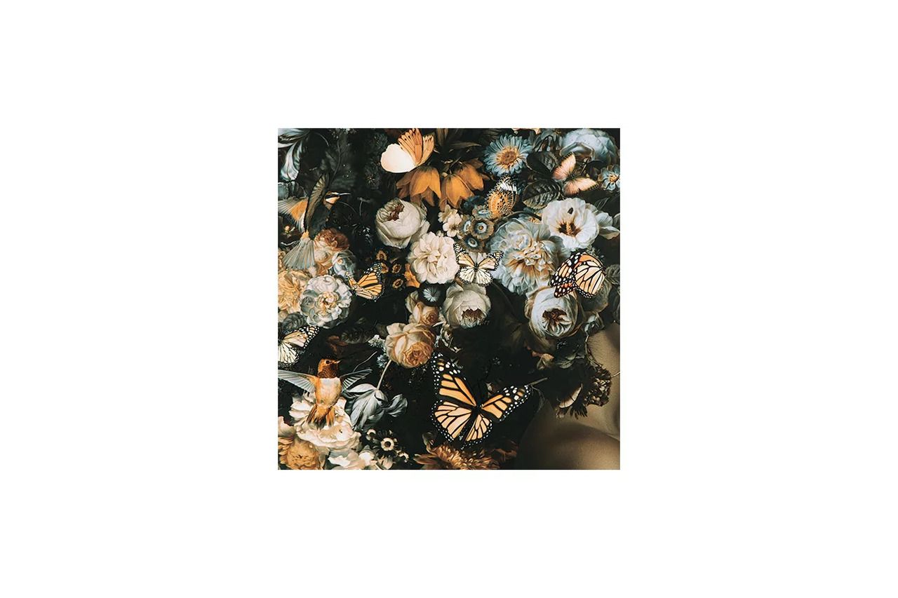 Valfer Wall Art In Orange/Black/White A8000481