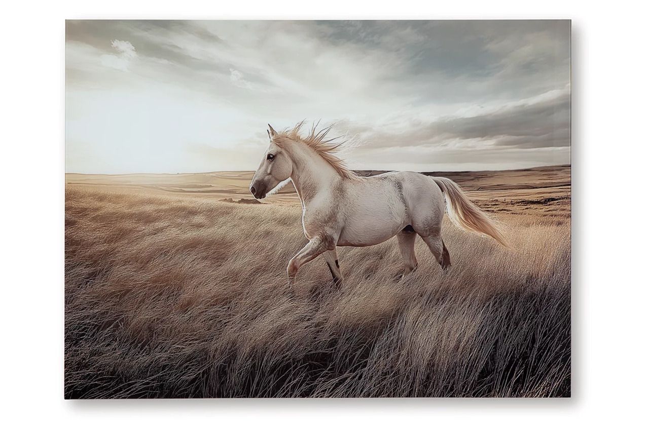 Errolville Wall Art In Multi A8000489