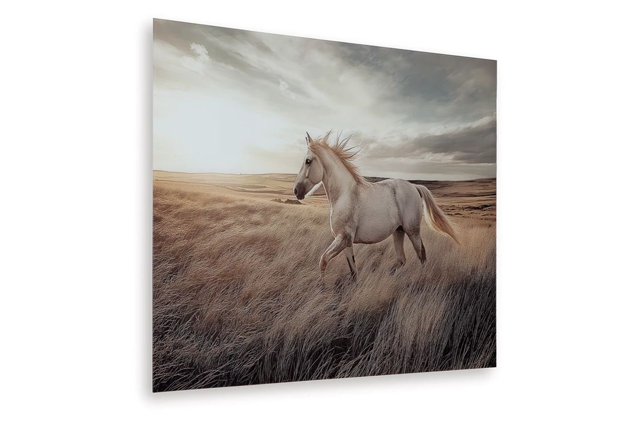 Errolville Wall Art In Multi A8000489