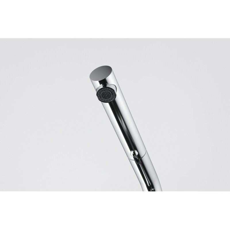 Active Pull Out Faucet view 2