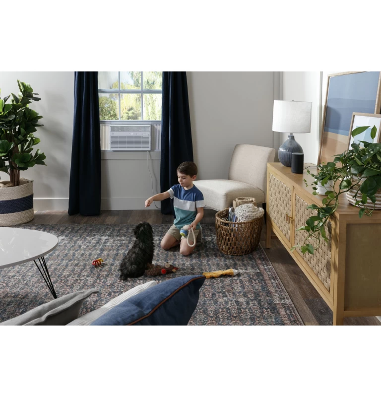 23,500 BTU Heat/Cool Electronic Window Air Conditioner for Extra-Large Rooms up to 1,500 sq. ft. AHE24DZ