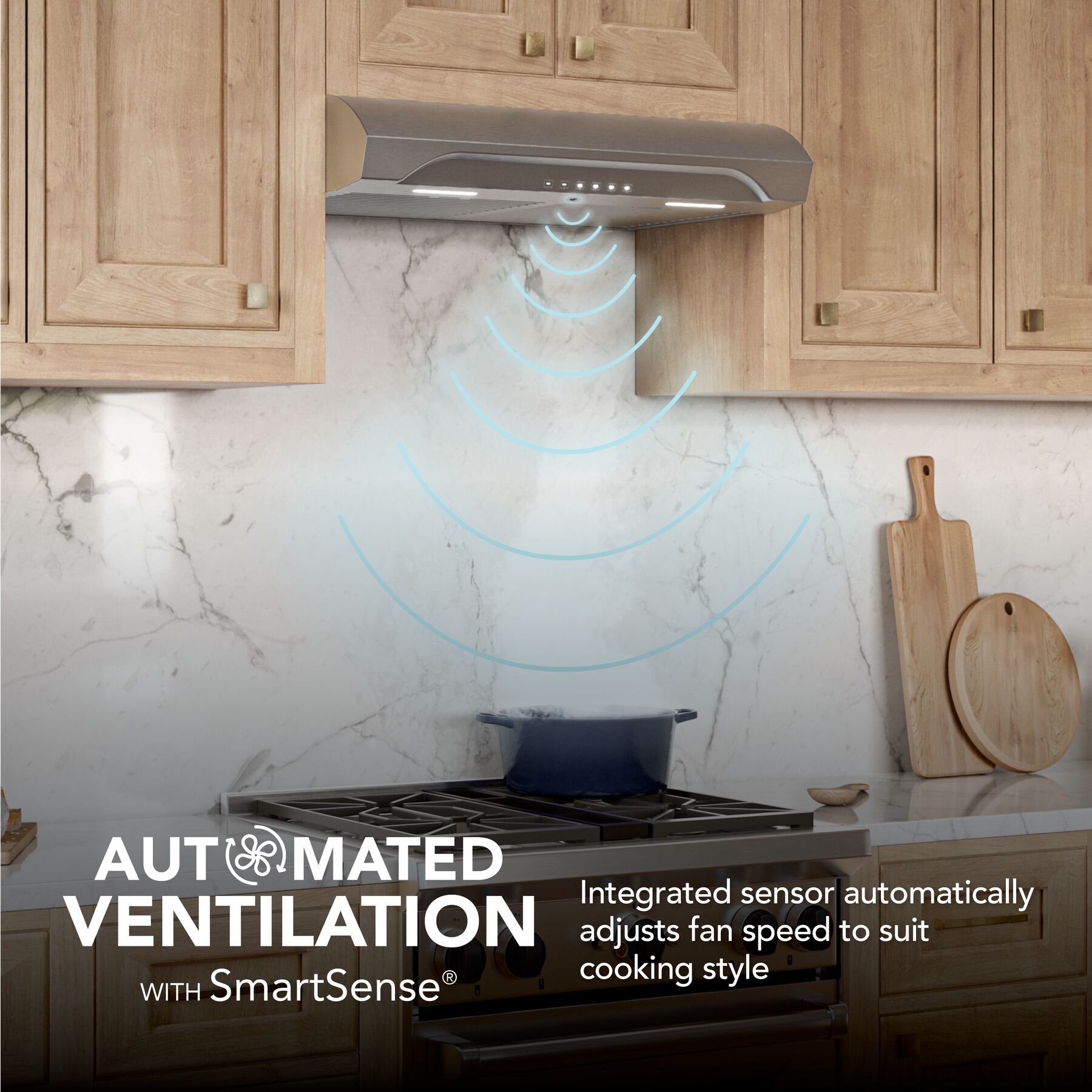 Alta 30Inch 490 MAX Blower CFM 1.1 Sones Range Hood view 3