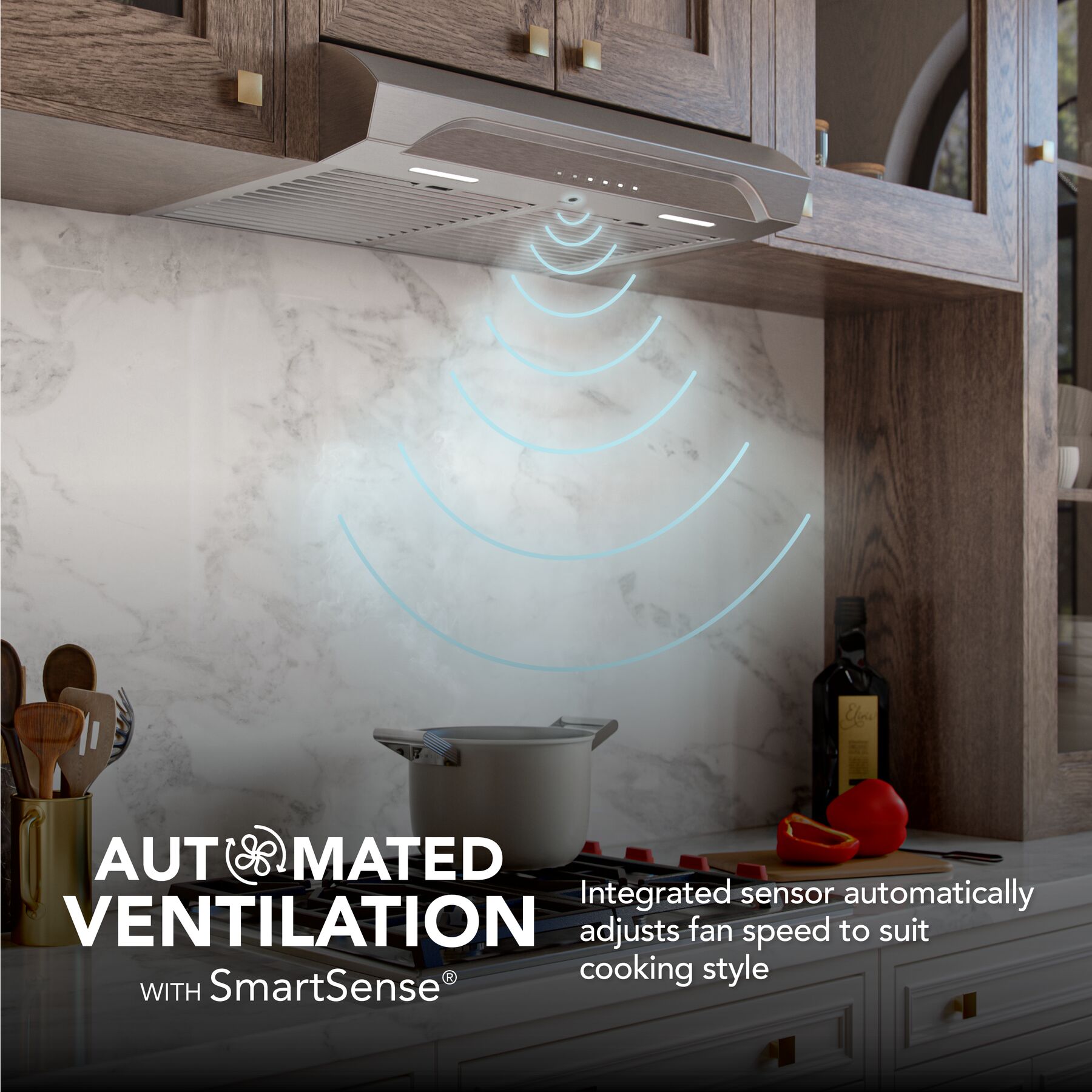 Alta 30Inch 640 MAX Blower CFM 0.8 Sones Range Hood view 3