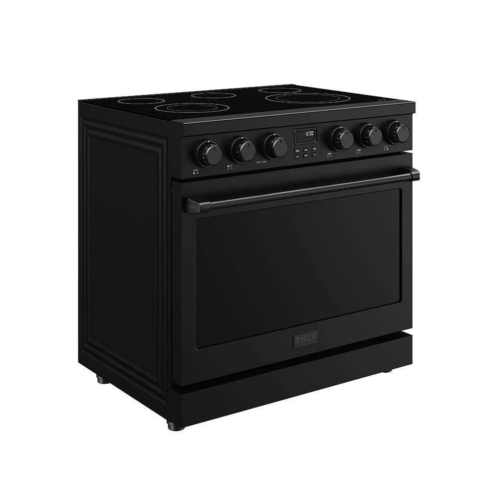 36 Inch Electric Range In Black Contemporary Professional ARE36B