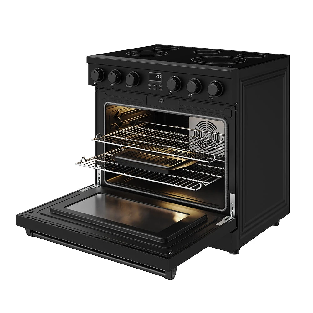 36 Inch Electric Range In Black Contemporary Professional ARE36B