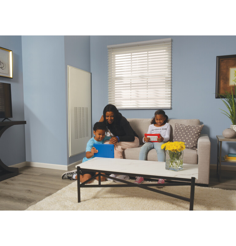 Zoneline UltimateV10 Heat Pump Single Package Vertical Air Conditioner 265 Volt AZ95H09EAC