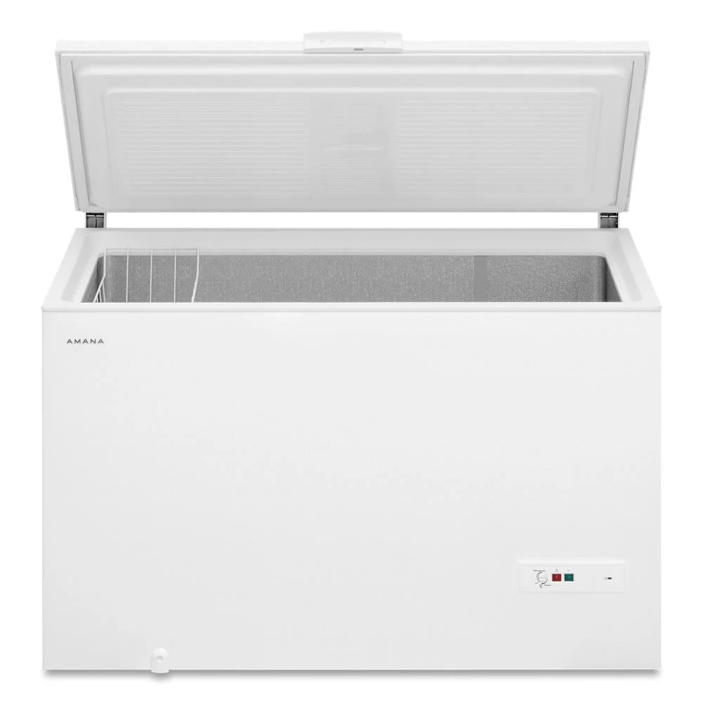 16 cu. ft.  Chest Freezer view 2