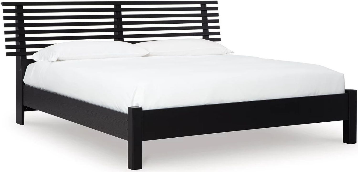 Danziar Queen Slat Panel Bed In Black B1013B1