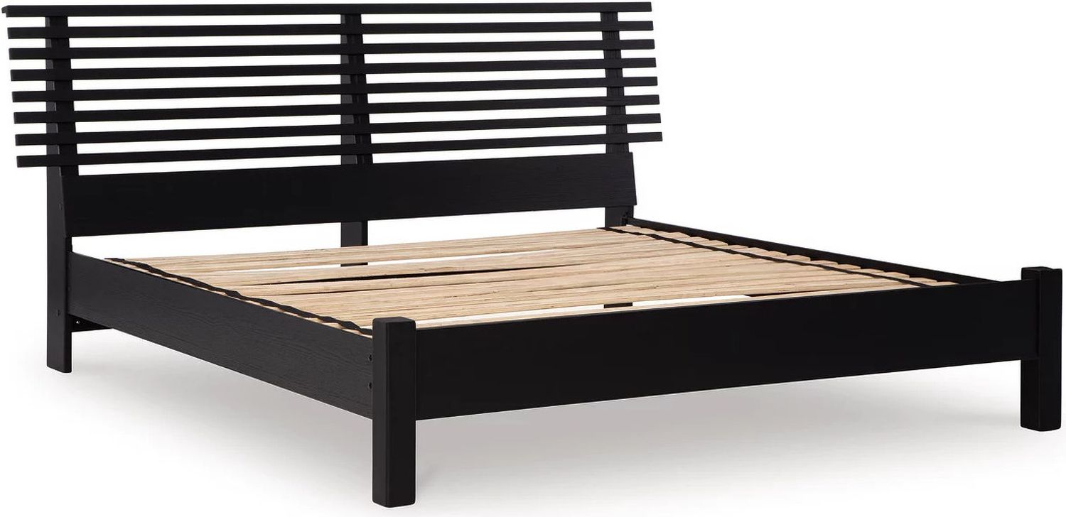 Danziar Queen Slat Panel Bed In Black B1013B1