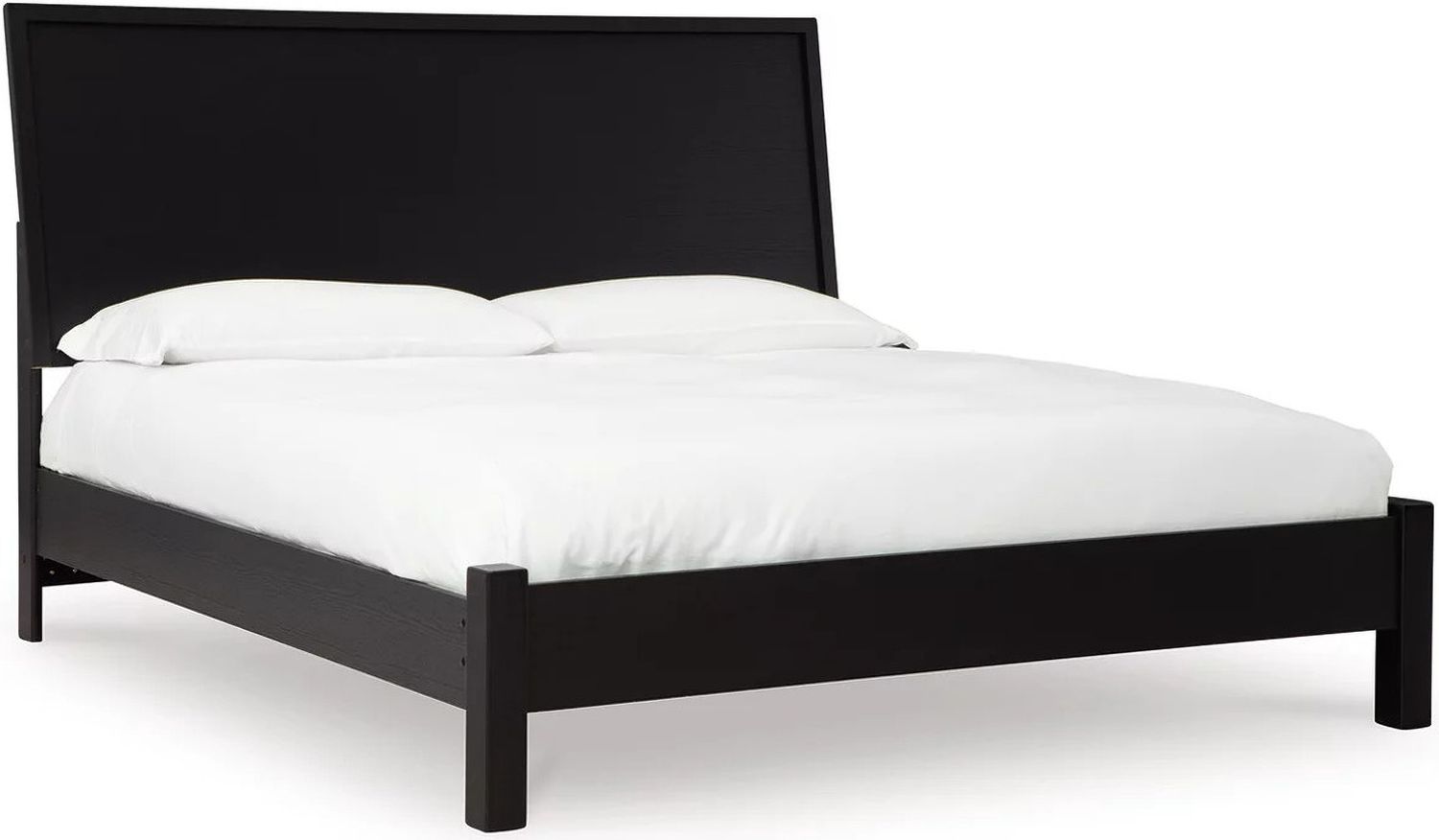 Danziar King Panel Bed In Black B1013B10