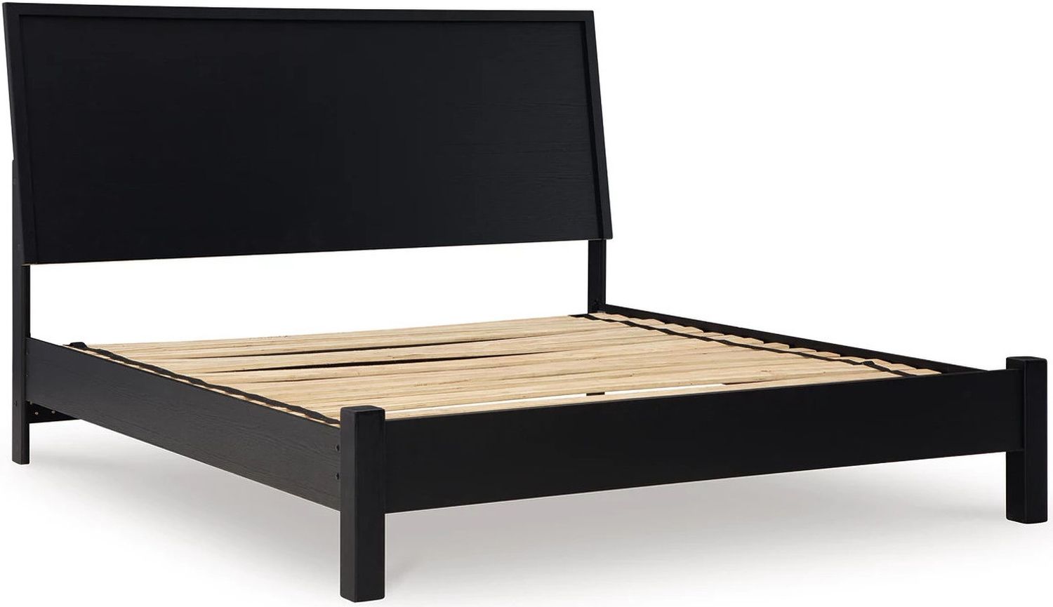 Danziar King Panel Bed In Black B1013B10