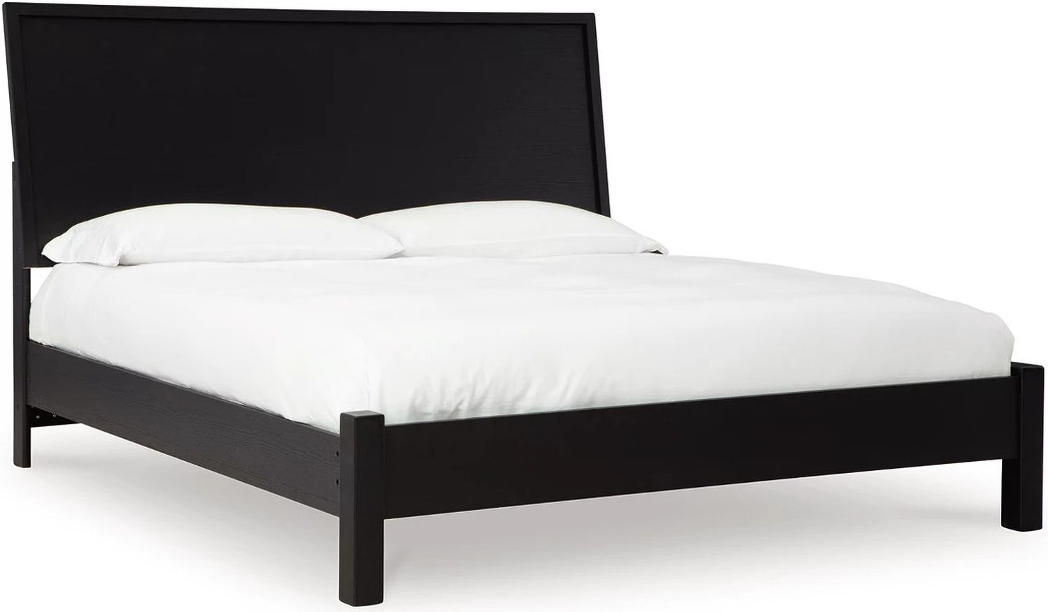 Danziar Queen Panel Bed In Black B1013B5
