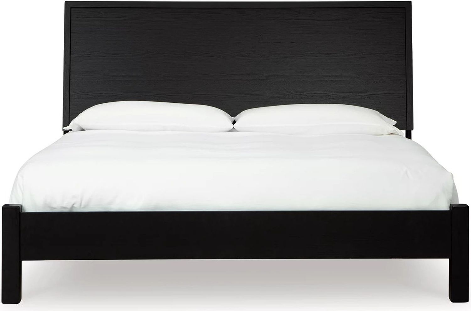 Danziar Queen Panel Bed In Black B1013B5