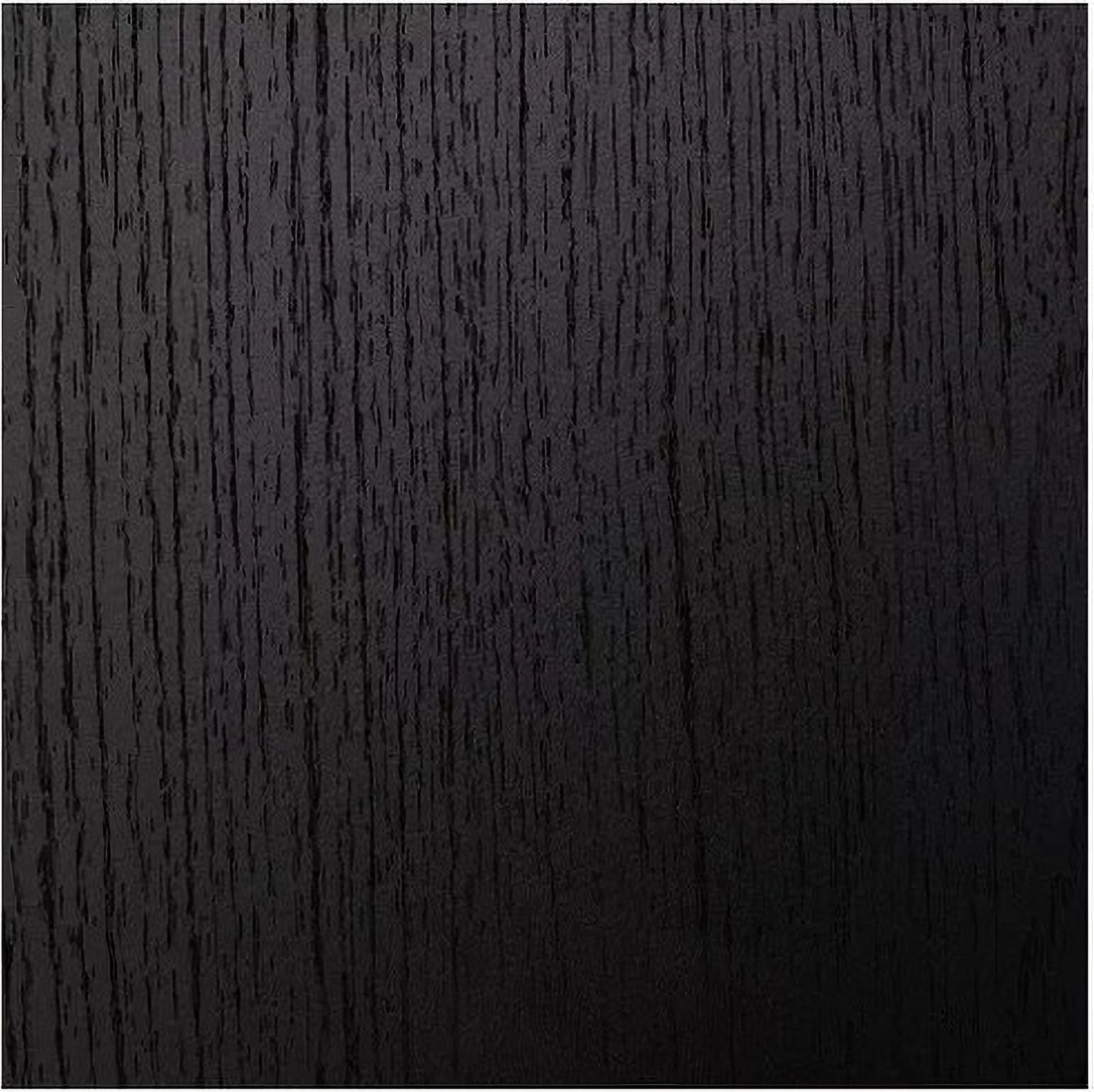 Danziar Queen Panel Bed In Black B1013B5
