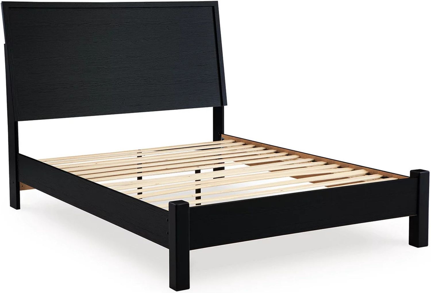 Danziar Queen Panel Bed In Black B1013B5