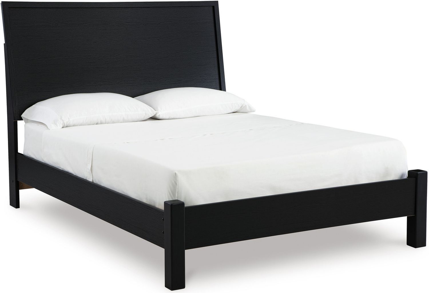 Danziar Queen Panel Bed In Black B1013B5