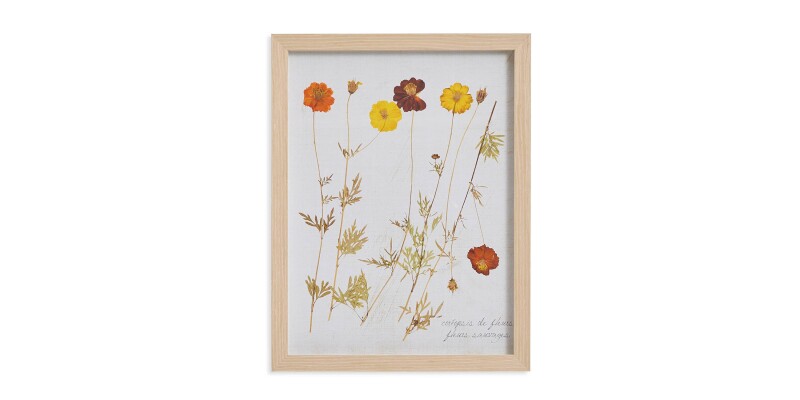Pressed Wild Poppies BAS817A12X16