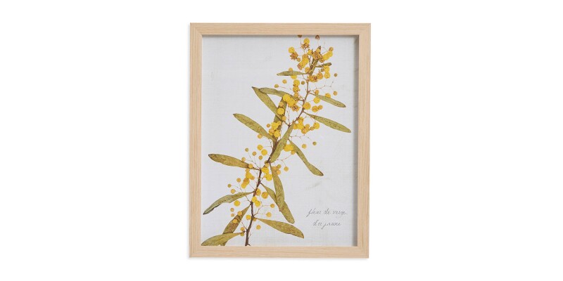 Golden Rod Branch BAS817D12X16