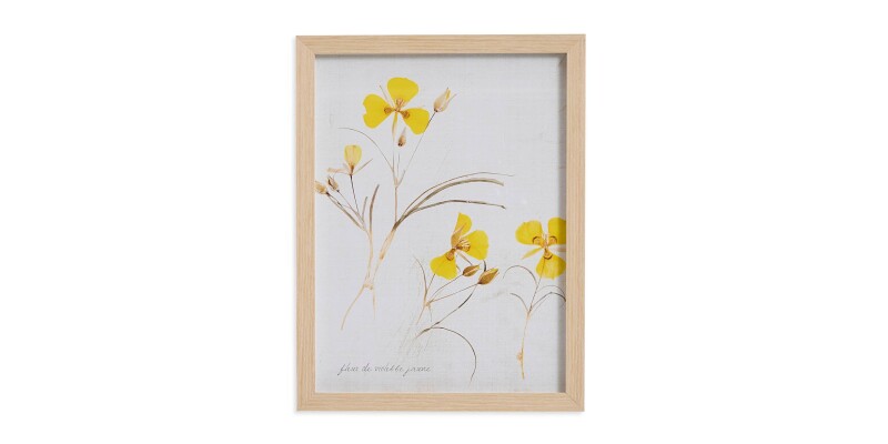 Pressed Yellow Violets BAS817F12X16