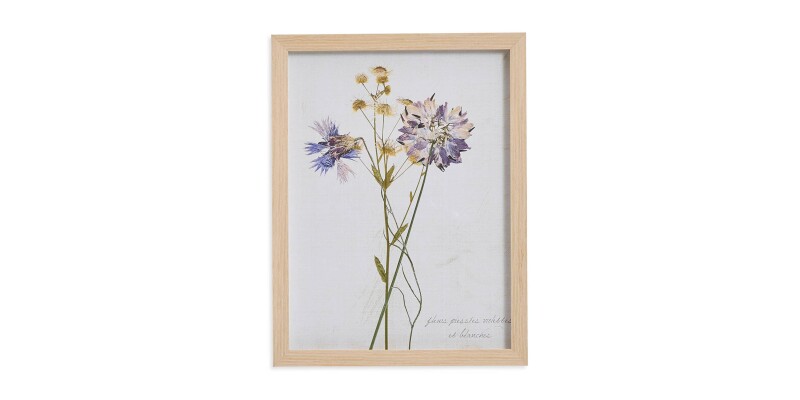 Pressed Purple Flowers BAS817G12X16