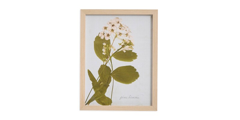 Pear Tree Blossom BAS817H12X16