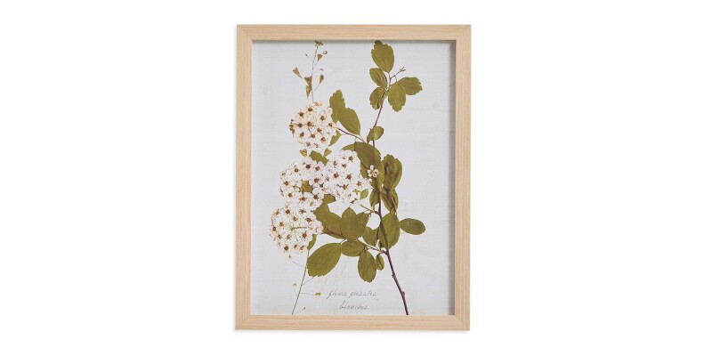 Pear Tree Branch BAS817I12X16