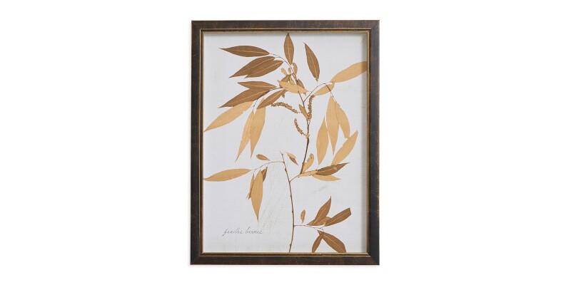 Sepia Bamboo Leaves BAS818B12X16