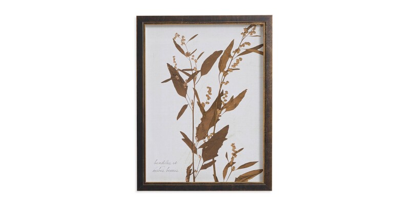Sepia Branches BAS818C12X16