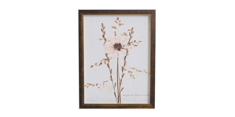 Sepia Pressed Wildflower I BAS818D12X16