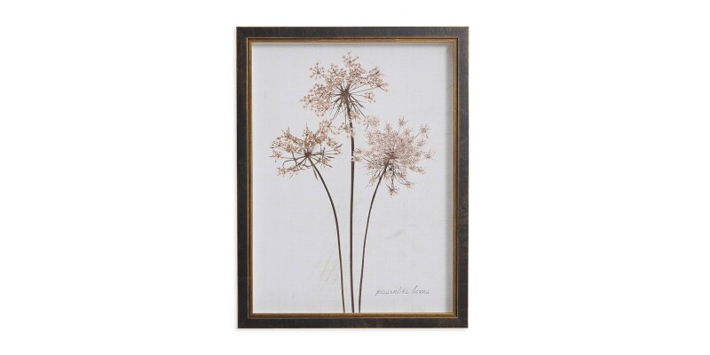 Sepia Pressed Dandelions BAS818E12X16