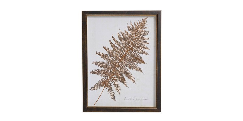 Sepia Fern Frond BAS818G12X16