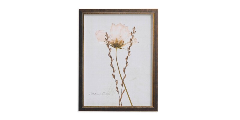 Sepia Pressed Wildflower II BAS818H12X16