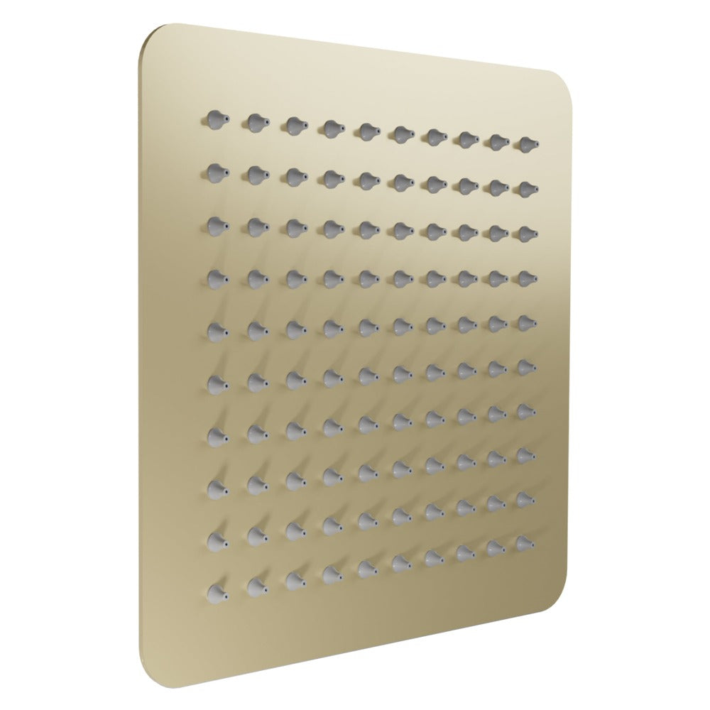 Autograph Edition Bliss 8 in. Rainfall Shower Head BLSH8CB
