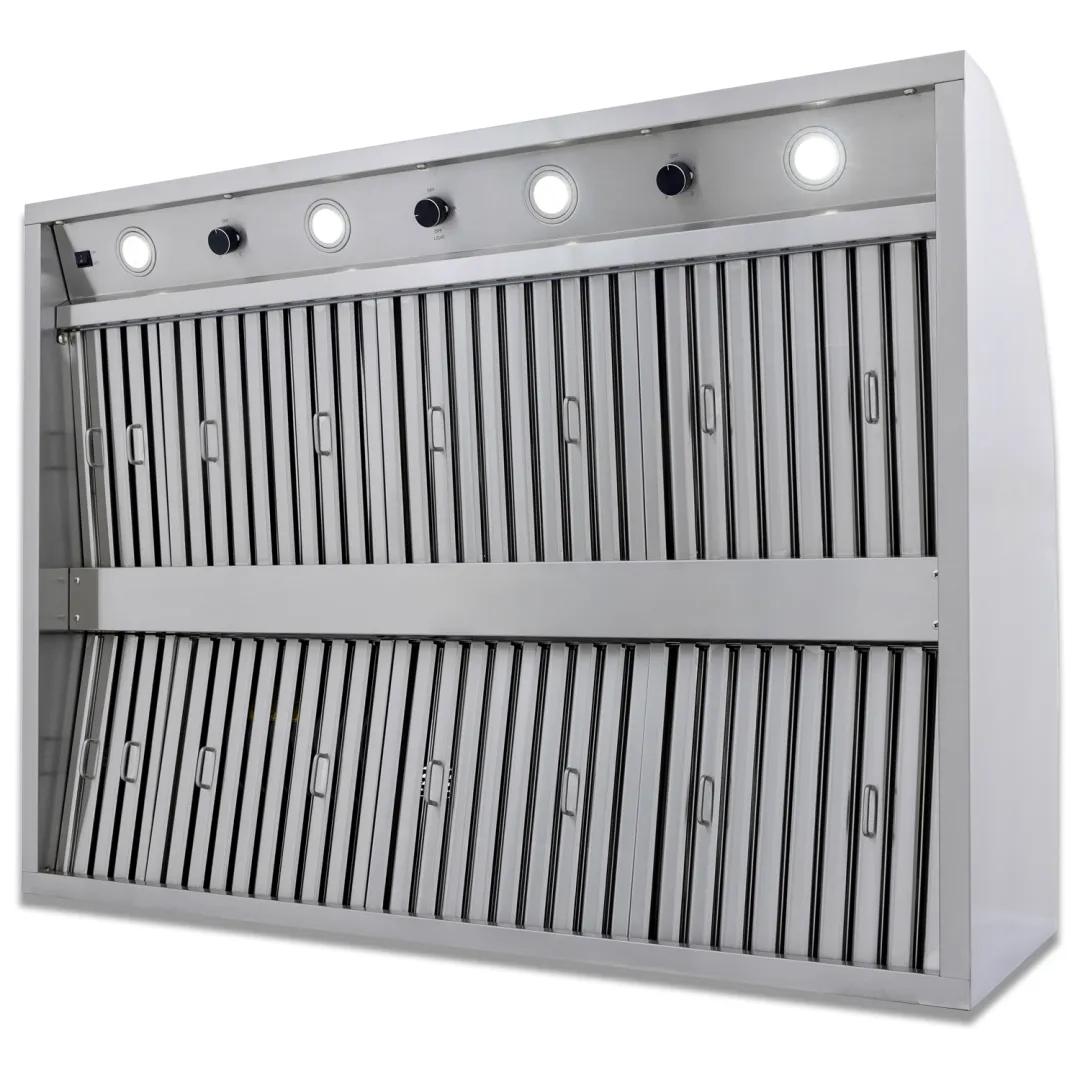 48-Inch Vent Hood BLZ48VHOOD