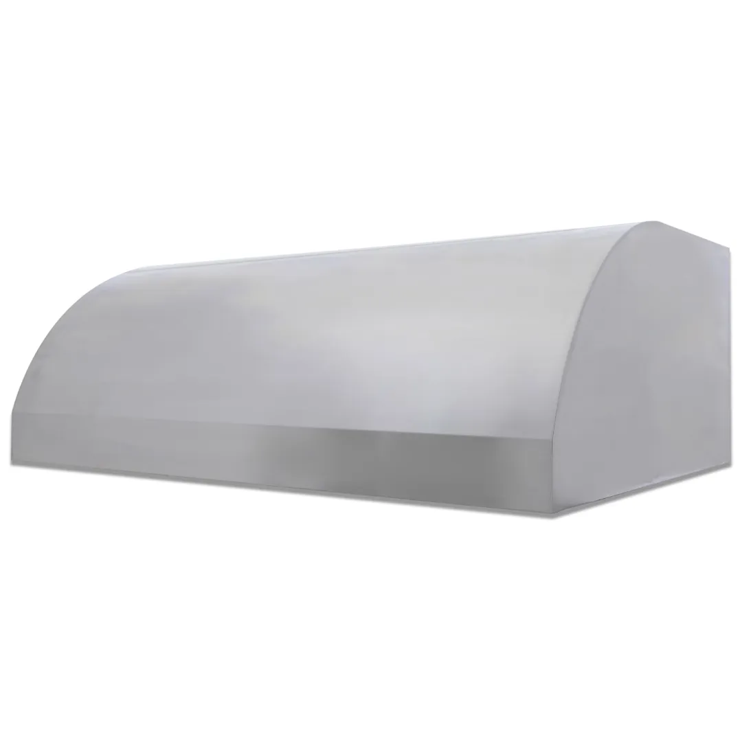 48-Inch Vent Hood BLZ48VHOOD