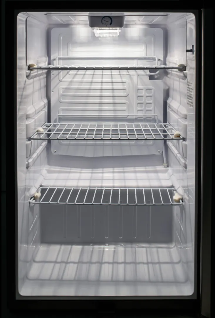 20-Inch Outdoor Compact Refrigerator BLZSSRF126