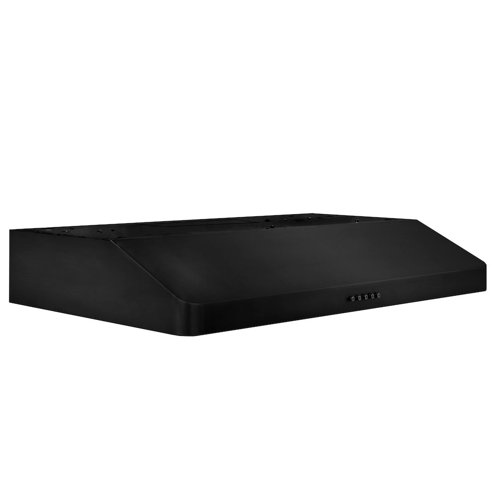 30 in. 400 CFM Ducted Under Cabinet Range Hood BS61730