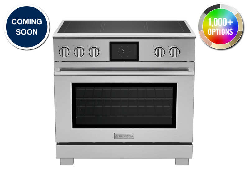 36″ Platinum Induction BSPIR365Z