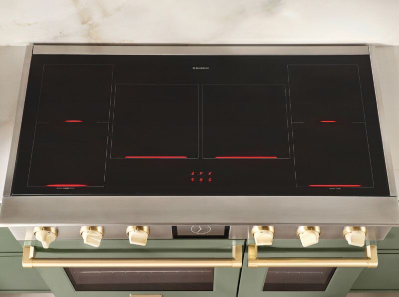 48″ Platinum Induction BSPIR486Z
